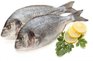 Frozen Sea Bream Fish For Human Consumption