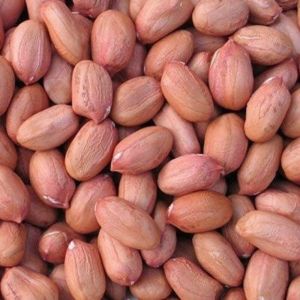 Natural Peanut Kernels For Human Consumption