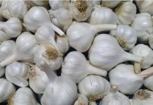 A Grade Garlic For Cooking