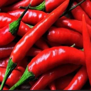 A Grade Red Chilli For Cooking