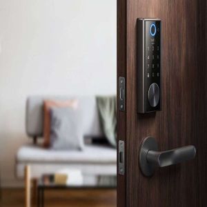 Zinc Alloy Fingerprint Door Locks