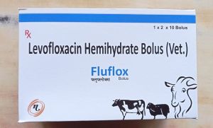 Levofloxacin Hemihydrate Bolus