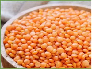 Orange Masoor Dal