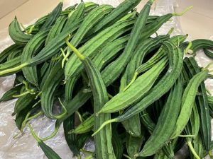 Fresh Ridge Gourd, Packaging Size : 20 Kg