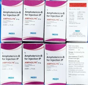 Ampholyn -amphotericin B Injection