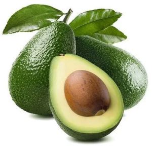 Natural Fresh Avocado, Packaging Type : Carton