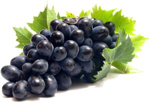 Natural Fresh Black Grapes For Human Consumption