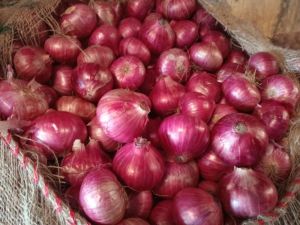 Fresh Red Onion, Packaging Size : 50kg