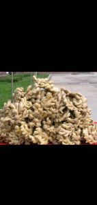 Fresh Ginger, Packaging Size : 50 Kg