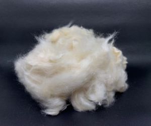 Raw Kapok Fiber Grade A1, Packaging Type : White