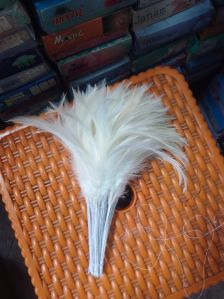 Heron Bird Feather