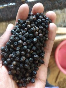 Organic Black Pepper Seed For Cooking, Spices, Food Medicine