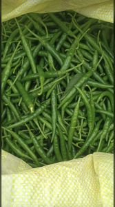 Fresh Green Chilli