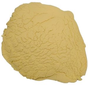 Maillard Reaction Flavours - Yeast + Onion