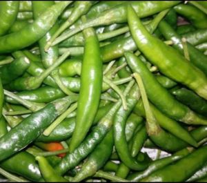 Green Chilli