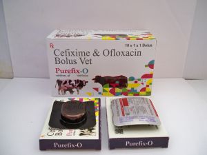 Cefixime AndOfloxacin Bolus