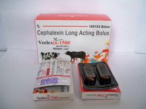 Cephradine Long Acting Bolus