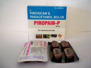 Piroxicam Paracetamol  Bolus