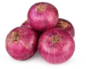 A Grade Pink Onion For Human Consumption