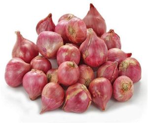 Natural Shallots Onion For Human Consumption