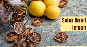 Solar Dried Lemon for Fast Food, Horeca, Tea, Decoration, Essential Oil RTE