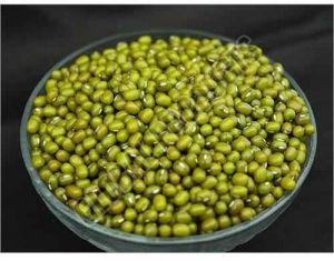 Common Green Mung Beans For Cooking