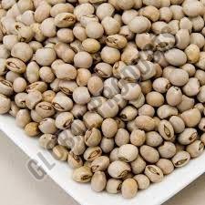 Pigeon Pea Seeds, Packaging Type : PP Bags