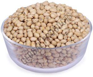 Soybean Seed, Packaging Type : Sack Bags