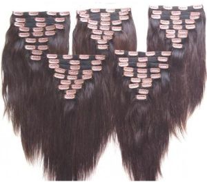 Indian Clip Hair Human Hair Extensions