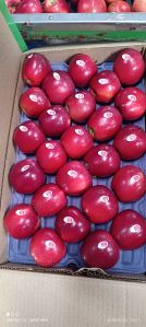 Fresh Kashmiri Apples, Pack Size : 20kg