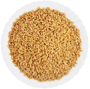 Golden Sharbati Wheat Grain For Cooking