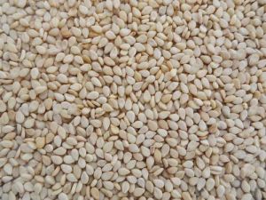 White Sesame Seeds For Cooking