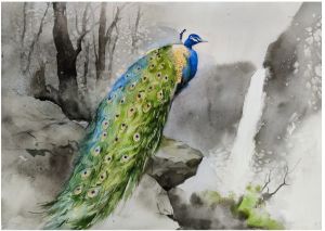 Peacock Painting - Watercolor On Paper