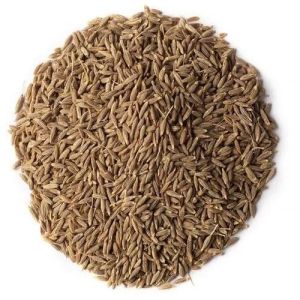 Brown Cumin Seeds