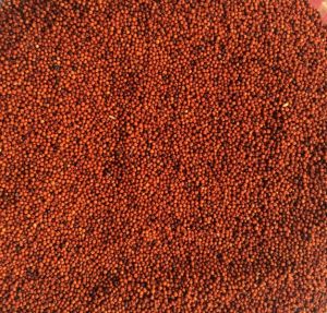 Organic Red Millet Seeds