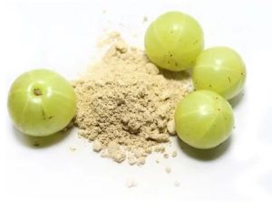 Amla Powder 6 Months, Packaging Type : Plastic Packet, Packaging Size : 250-500gm