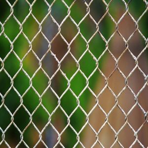 Diamond Fencing Wire Mesh