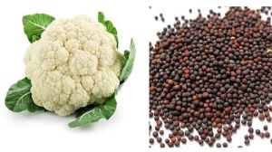 Cauliflower Seeds