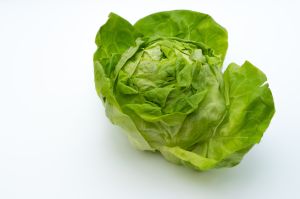 LETTUCE