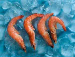 PRAWNS