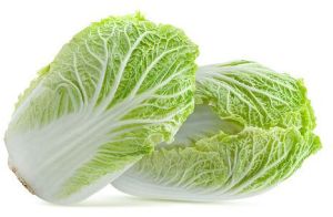 Chinese Cabbage, Variety : Bok Choy