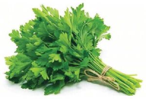 Fresh Flat Parsley