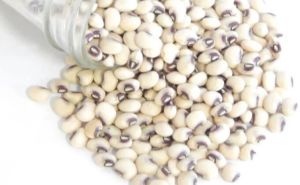 White Cowpea