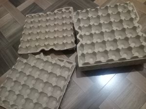 Paper Pulp Moulded Egg Tray, Shape : Rectangular for Food Packaging