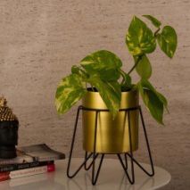 Flower Pot With Stand