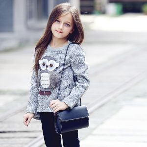 Girls Owl Print Casual Wear Sweater, Age Group : 6-14 Years