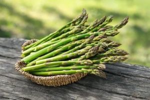 Fresh Asparagus, Color : Green, Green