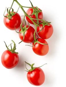 Natural Fresh Cherry Tomato, Color : Red