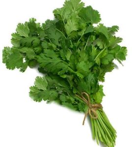 Fresh Coriander For Human Consumption