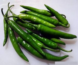 Fresh Green Chilli